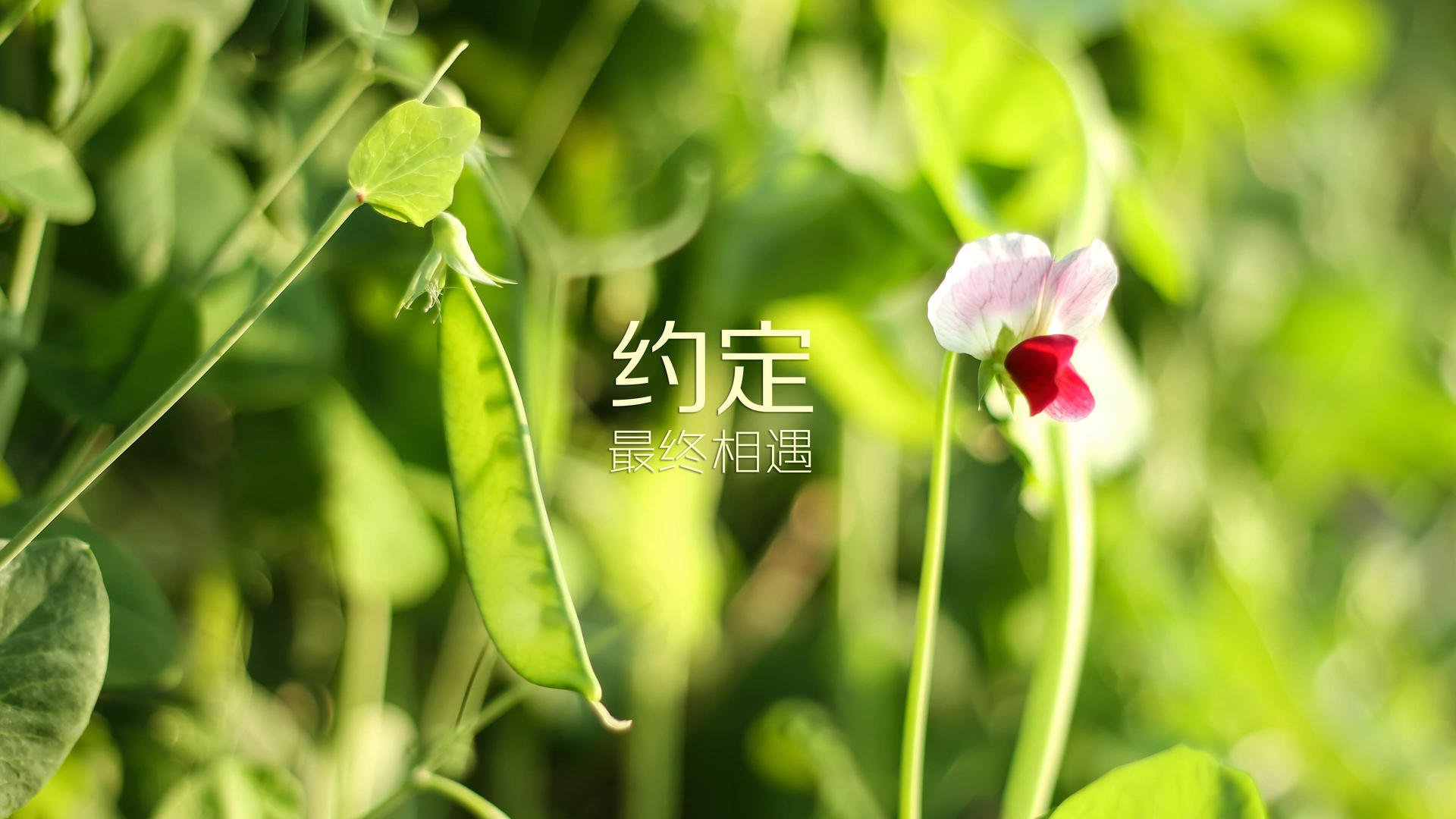 九游游戏中心官网-体育大数据在职业运动员培养中的实用性研究，体育大数据应用的市场机会