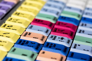 Jiu You-运动表现提升与基因检测应用研究,运动基因检测需多少钱