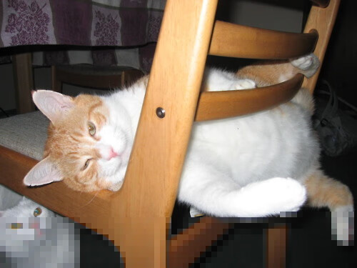 九游网页版官网-五大联赛战术执行难度是否因视频分析而降低,五大联赛的赛制