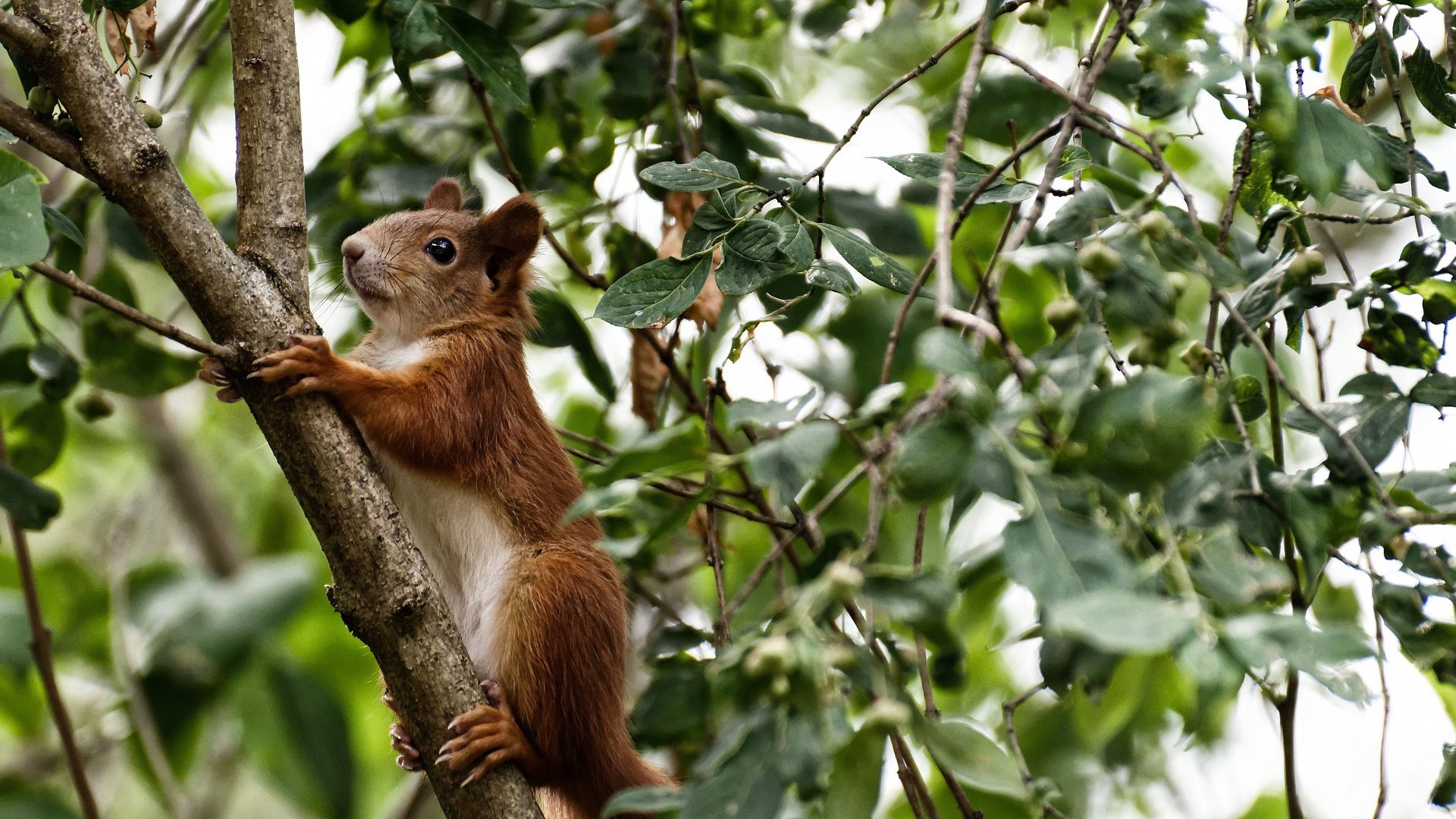 九游(jiuyou)官方网站-印度乒乓队未来:持续深化技术细节,追求无懈可击,印度乒乓球水平怎么样