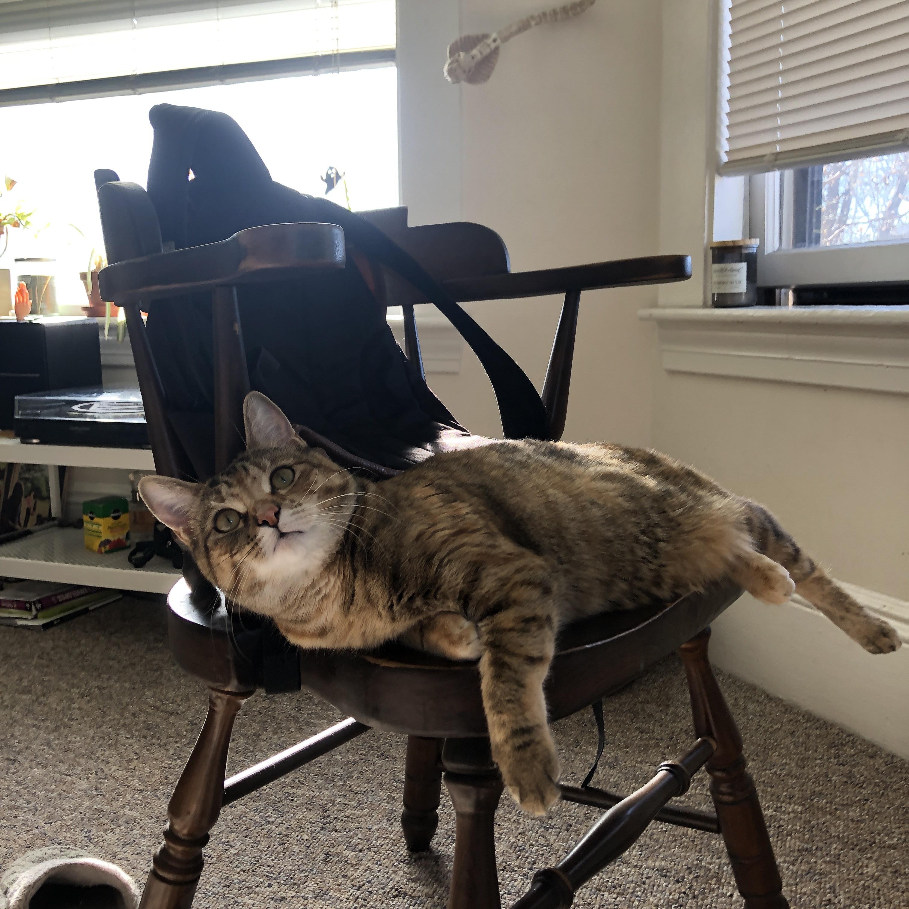 九游正版入口-多特蒙德压迫式防守迫使对手失误,2021多特蒙德战术打法