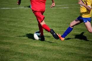 九游登录中心-电竞高校联盟赛事落地百所高校,高校电竞联赛冠军