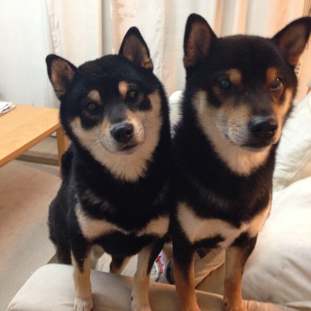 九游官网pc-运动传感器分析提高乒乓球选手击球精准度，乒乓球拍传感器