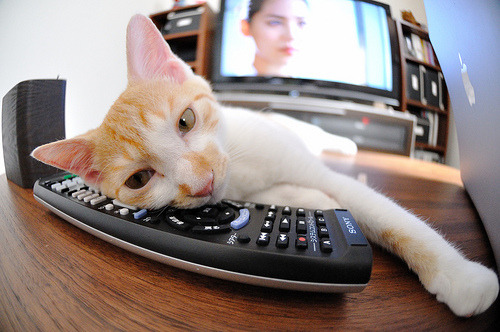 九游9游-CBA球队加强青年队培养保障后备力量持续供应，cba青年队训练