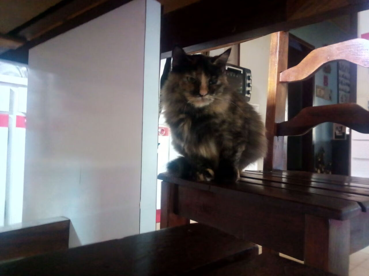 九游下载安装-中国篮球动漫形象发布将与球员联动打造文化传播新载体,2021篮球国漫