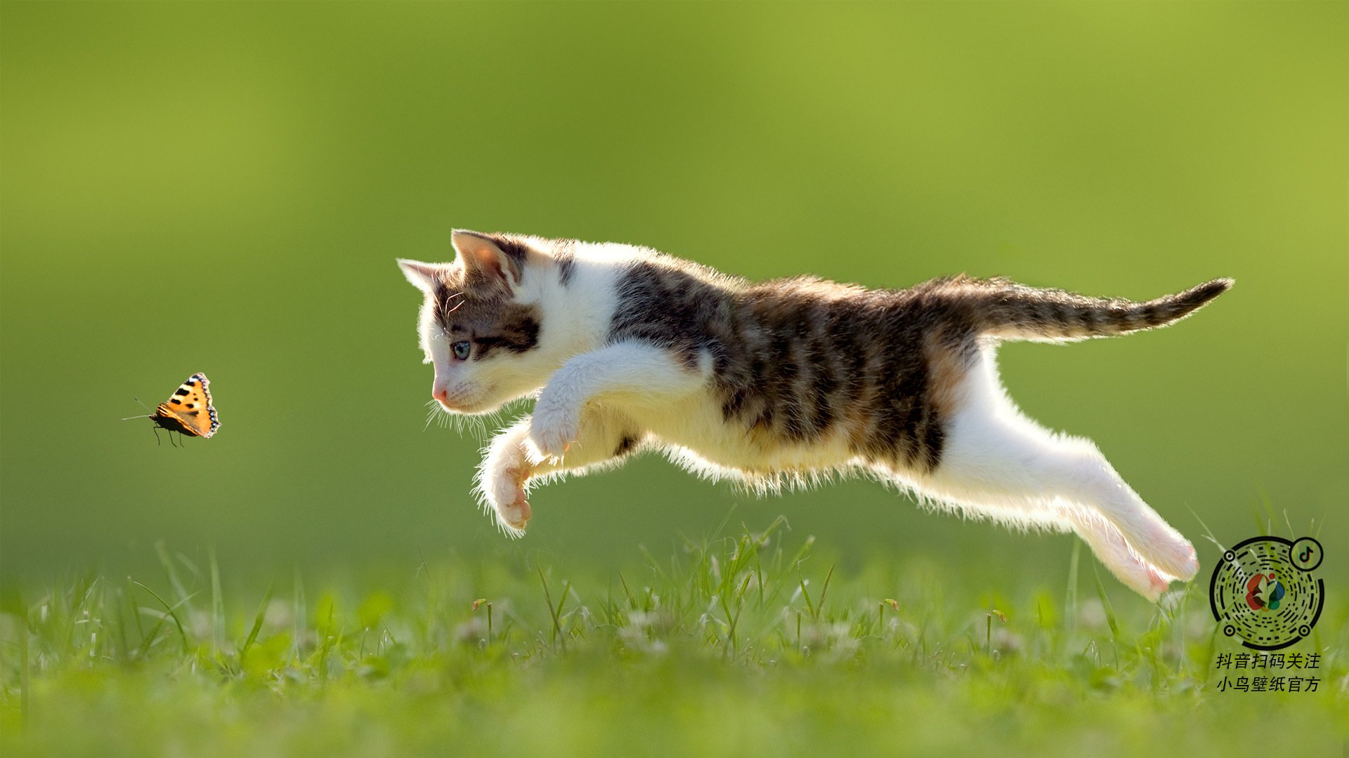 九游娱乐官网 (JIUYOU)-中国足球联赛裁判技术辅助设备应用推广,足球裁判协会