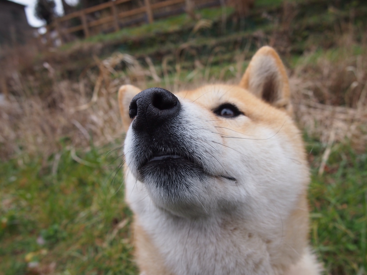 九游游戏中心-曼联在激烈争夺中取胜，积分逼近榜首