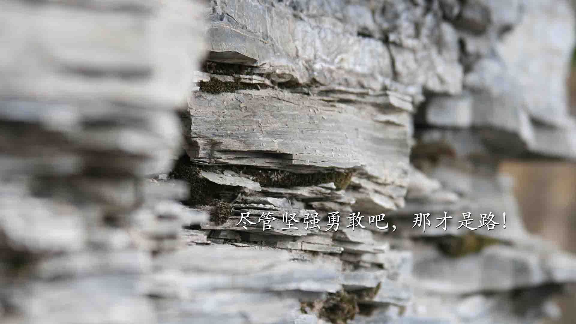 九游娱乐-荷兰队在欧洲预赛中持续保持优异表现,晋级希望大好