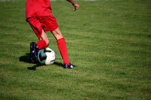 九游官网主页-中国足球是否拥有独立的裁判培养体系，中国足球裁判分几个级别