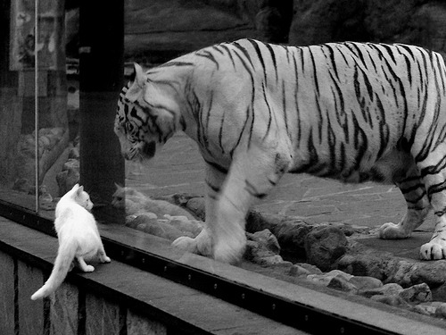 九游官网主页-中国足球是否拥有独立的裁判培养体系,中国足球裁判分几个级别